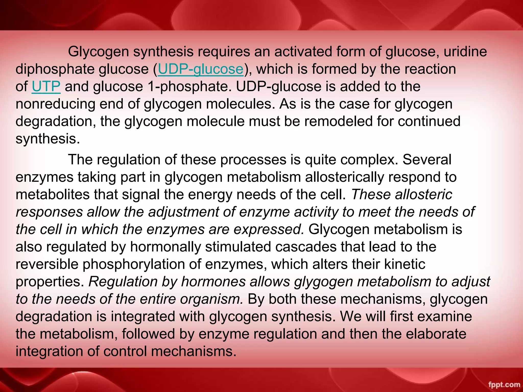 Glycogen synthesis requires an activated form of glucose, uridine
diphosphate glucose (UDP-glucose), which is formed by the reaction
of UTP and glucose 1-phosphate. UDP-glucose is added to the
nonreducing end of glycogen molecules. As is the case for glycogen
degradation, the glycogen molecule must be remodeled for continued
synthesis.
The regulation of these processes is quite complex. Several
enzymes taking part in glycogen metabolism allosterically respond to
metabolites that signal the energy needs of the cell. These allosteric
responses allow the adjustment of enzyme activity to meet the needs of
the cell in which the enzymes are expressed. Glycogen metabolism is
also regulated by hormonally stimulated cascades that lead to the
reversible phosphorylation of enzymes, which alters their kinetic
properties. Regulation by hormones allows glygogen metabolism to adjust
to the needs of the entire organism. By both these mechanisms, glycogen
degradation is integrated with glycogen synthesis. We will first examine
the metabolism, followed by enzyme regulation and then the elaborate
integration of control mechanisms.
 