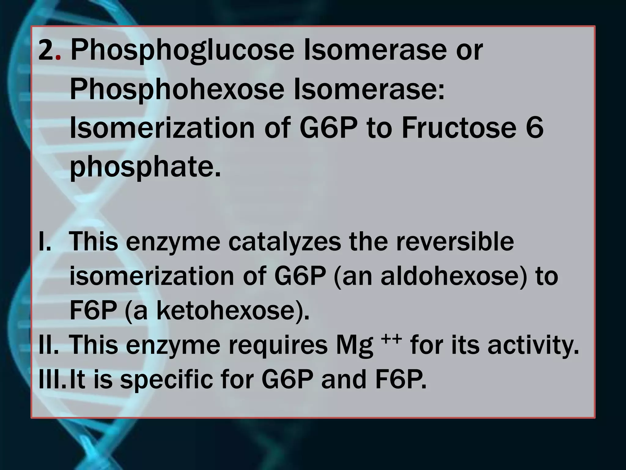 2. Phosphoglucose Isomerase or
Phosphohexose Isomerase:
Isomerization of G6P to Fructose 6
phosphate.
I. This enzyme catalyzes the reversible
isomerization of G6P (an aldohexose) to
F6P (a ketohexose).
II. This enzyme requires Mg ++ for its activity.
III.It is specific for G6P and F6P.
 