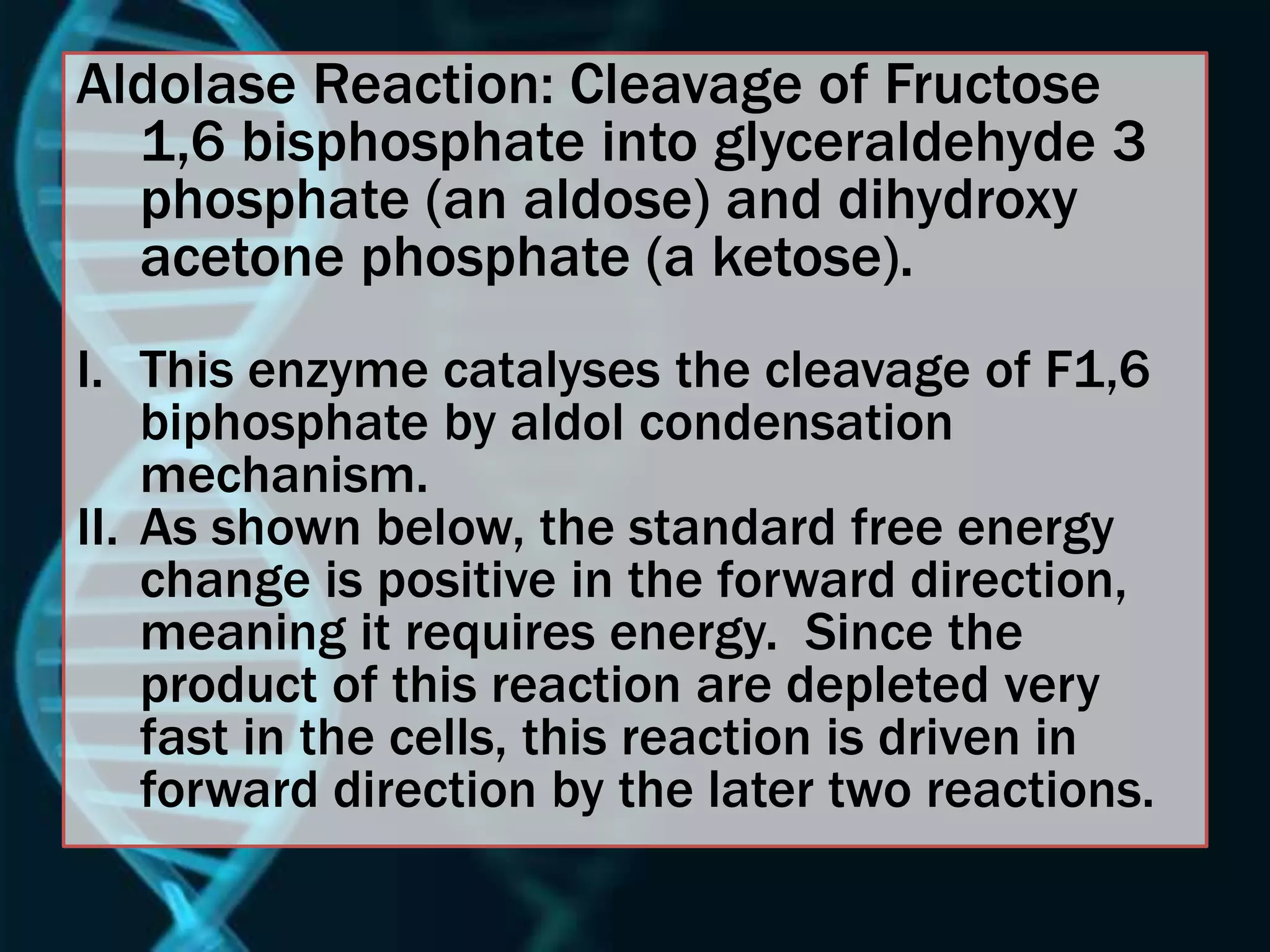 Aldolase Reaction: Cleavage of Fructose
1,6 bisphosphate into glyceraldehyde 3
phosphate (an aldose) and dihydroxy
acetone phosphate (a ketose).
I. This enzyme catalyses the cleavage of F1,6
biphosphate by aldol condensation
mechanism.
II. As shown below, the standard free energy
change is positive in the forward direction,
meaning it requires energy. Since the
product of this reaction are depleted very
fast in the cells, this reaction is driven in
forward direction by the later two reactions.
 