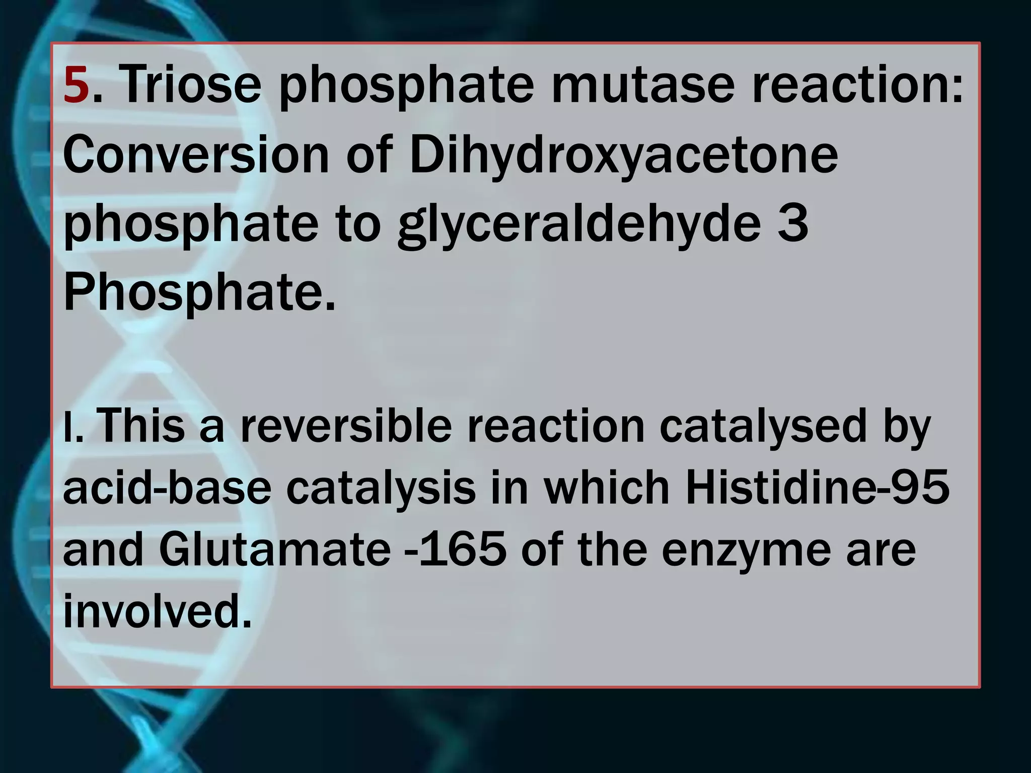 5. Triose phosphate mutase reaction:
Conversion of Dihydroxyacetone
phosphate to glyceraldehyde 3
Phosphate.
I. This a reversible reaction catalysed by
acid-base catalysis in which Histidine-95
and Glutamate -165 of the enzyme are
involved.
 