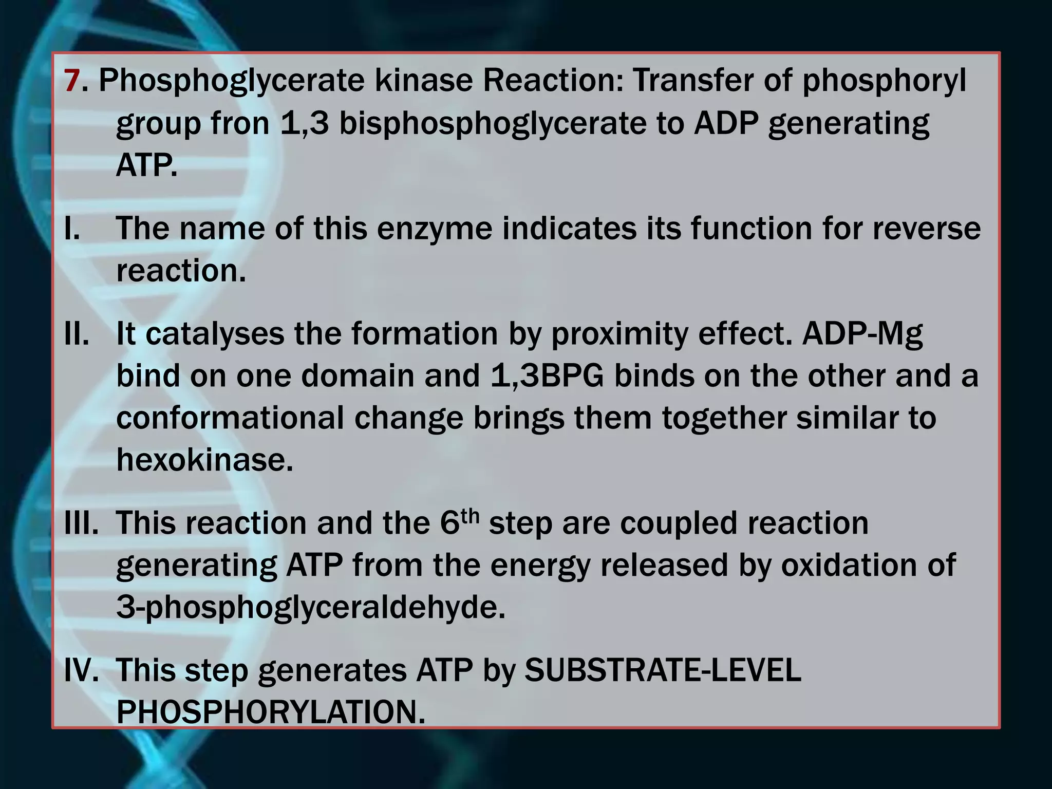 7. Phosphoglycerate kinase Reaction: Transfer of phosphoryl
group fron 1,3 bisphosphoglycerate to ADP generating
ATP.
I. The name of this enzyme indicates its function for reverse
reaction.
II. It catalyses the formation by proximity effect. ADP-Mg
bind on one domain and 1,3BPG binds on the other and a
conformational change brings them together similar to
hexokinase.
III. This reaction and the 6th step are coupled reaction
generating ATP from the energy released by oxidation of
3-phosphoglyceraldehyde.
IV. This step generates ATP by SUBSTRATE-LEVEL
PHOSPHORYLATION.
 