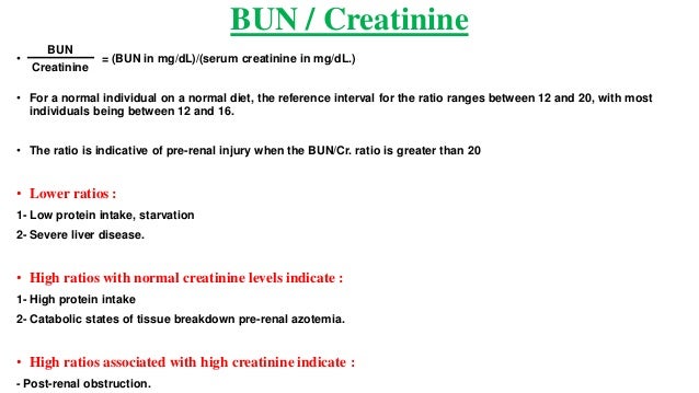 elevated creatinine normal bun