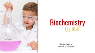 Cellulose
Biochemistry
Geane Souza
Rubem S. Bezerra
 