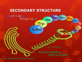 SECONDARY STRUCTURE
 