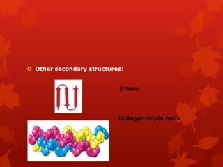  Other secondary structures:
β turn
Collagen triple helix
 