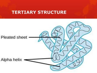 TERTIARY STRUCTURE
 