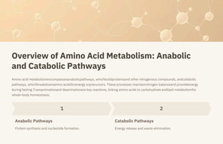 THE DYNAMIC WORLD OF AMINO ACID METABOLISM | PDF