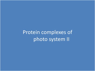 Protein complexes of
photo system II
 