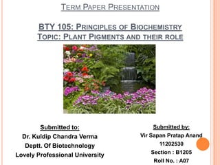 TERM PAPER PRESENTATION
BTY 105: PRINCIPLES OF BIOCHEMISTRY
TOPIC: PLANT PIGMENTS AND THEIR ROLE

Submitted to:
Dr. Kuldip Chandra Verma
Deptt. Of Biotechnology
Lovely Professional University

Submitted by:
Vir Sapan Pratap Anand

11202530
Section : B1205
Roll No. : A07

 