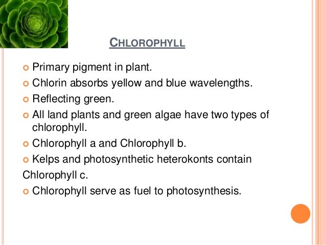 Plant Pigments and their role
