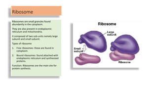 Biochemistry unit 1.pptx