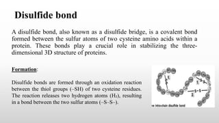 Disulfide Bond Example Post RN - Biochemistry (Unit 3.3) Chemistry of Nutrients (Proteins) | PPTX