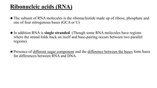Ribonucleic acids (RNA)
⚫ The subunit of RNA molecules is the ribonucleotide made up of ribose, phosphate and
one of four nitrogenous bases (GCA or U)
⚫ In addition RNA is single stranded. (Though some RNA molecules have regions
where the strand folds back on itself and base-pairing occurs between two parallel
regions).
⚫ Presence of different sugar component and the difference between the bases form basis
for differences between RNA and DNA.
 