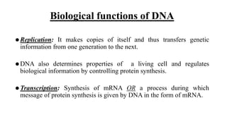 Biological functions of DNA
⚫Replication: It makes copies of itself and thus transfers genetic
information from one generation to the next.
⚫DNA also determines properties of a living cell and regulates
biological information by controlling protein synthesis.
⚫Transcription: Synthesis of mRNA OR a process during which
message of protein synthesis is given by DNA in the form of mRNA.
 