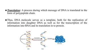 ⚫Translation: A process during which message of DNA is translated in the
form of polypeptide chain.
⚫Thus, DNA molecule serves as a template, both for the replication of
information into daughter DNA as well as for the transcription of the
information into RNA and its translation in to protein.
 