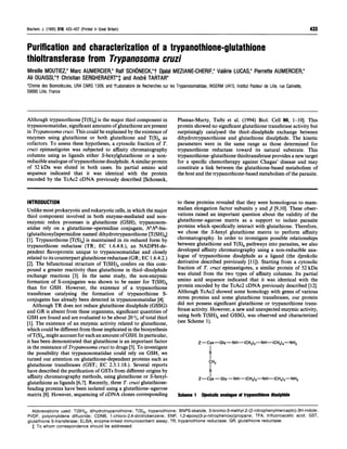 Biochem. J. (1995) 310, 433-437 (Printed in Great Britain)                                                                                                   433


Purification and characterization of a trypanothione-glutathione
thioltransferase from Trypanosoma cruzi
Mireille MOUTIEZ,* Marc AUMERCIER,* Raif SCHONECK,*t Djalal MEZIANE-CHERIF,* Valerie LUCAS,* Pierrette AUMERCIER,*
Ali OUAISSI,*t Christian SERGHERAERT*$ and Andr6 TARTAR*
Chimie des Biomolecules, URA CNRS 1309, and tLaboratoire de Recherches   sur   les Trypanosomatidae, INSERM U415, Institut Pasteur de Lille, rue Calmette,
59000 Lille, France



Although trypanothione [T(S)2] is the major thiol component in                     Plumas-Marty, Taibi et al. (1994) Biol. Cell 80, 1-10]. This
trypanosomatidae, significant amounts of glutathione are present                   protein showed no significant glutathione transferase activity but
in Trypanosoma cruzi. This could be explained by the existence of                  surprisingly catalysed the thiol-disulphide exchange between
enzymes using glutathione or both glutathione and T(S)2 as                         dihydrotrypanothione and glutathione disulphide. The kinetic
cofactors. To assess these hypotheses, a cytosolic fraction of T.                  parameters were in the same range as those determined for
cruzi epimastigotes was subjected to affinity chromatography                       trypanothione reductase toward its natural substrate. This
columns using as ligands either S-hexylglutathione or a non-                       trypanothione-glutathione thioltransferase provides a new target
reducible analogue of trypanothione disulphide. A similar protein                  for a specific chemotherapy against Chagas' disease and may
of 52 kDa was eluted in both cases. Its partial amino acid                         constitute a link between the glutathione-based metabolism of
sequence indicated that it was identical with the protein                          the host and the trypanothione-based metabolism of the parasite.
encoded by the TcAc2 cDNA previously described [Schoneck,


INTRODUCTION                                                                       to these proteins revealed that they were homologous to mam-
Unlike most prokaryotic and eukaryotic cells, in which the major                   malian elongation factor subunits y and , [9,10]. These obser-
thiol component involved in both enzyme-mediated and non-                          vations raised an important question about the validity of the
enzymic redox processes is glutathione (GSH), trypanosom-                          glutathione-agarose matrix as a support to isolate parasite
atidae rely on a glutathione-spermidine conjugate, N1N8-bis-                       proteins which specifically interact with glutathione. Therefore,
(glutathionyl)spermidine named dihydrotrypanothione [T(SH)2]                       we chose the S-hexyl glutathione matrix to perform affinity
[1]. Trypanothione [T(S)2] is maintained in its reduced form by                    chromatography. In order to investigate possible relationships
trypanothione reductase (TR; EC 1.6.4.8.), an NADPH-de-                            between glutathione and T(S)2 pathways into parasites, we also
pendent flavoprotein unique to trypanosomatidae and closely                        developed affinity chromatography using a non-reducible ana-
related to its counterpart glutathione reductase (GR; EC 1.6.4.2.)                 logue of trypanothione disulphide as a ligand (the djenkolic
[2]. The bifunctional structure of T(SH)2 confers on this com-                     derivative described previously [11]). Starting from a cytosolic
pound a greater reactivity than glutathione in thiol-disulphide                    fraction of T. cruzi epimastigotes, a similar protein of 52 kDa
exchange reactions [3]. In the same study, the non-enzymic                         was eluted from the two types of affinity columns. Its partial
formation of S-conjugates was shown to be easier for T(SH)2                        amino acid sequence indicated that it was identical with the
than for GSH. However, the existence of a trypanothione                            protein encoded by the TcAc2 cDNA previously described [12].
transferase catalysing the formation of trypanothione S-                           Although TcAc2 showed some homology with genes of various
conjugates has already been detected in trypanosomatidae [4].                      stress proteins and some glutathione transferases, our protein
   Although TR does not reduce glutathione disulphide (GSSG)                       did not possess significant glutathione or trypanothione trans-
and GR is absent from these organisms, significant quantities of                   ferase activity. However, a new and unexpected enzymic activity,
GSH are found and are evaluated to be about 20 % of total thiol                    using both T(SH)2 and GSSG, was observed and characterized
[1]. The existence of an enzymic activity related to glutathione,                  (see Scheme 1).
which could be different from those implicated in the biosynthesis
of T(S)2, might account for such an amount of GSH. In particular,
it has been demonstrated that glutathione is an important factor                               Z- Cys-Gly-NH- (CH2)3-NH-(CH2)4-NH2
in the resistance of Trypanosoma cruzi to drugs [5]. To investigate
the possibility that trypanosomatidae could rely on GSH, we                                          S
turned our attention on glutathione-dependent proteins such as                                       CH2
glutathione transferases (GST; EC 2.5.1.18.). Several reports
have described the purification of GSTs from different origins by
affinity chromatography methods, using glutathione or S-hexyl-                                 Z-Cys -Gly -NH-(CH2)3-NH-(CH2)4-NH2
glutathione as ligands [6,7]. Recently, three T. cruzi glutathione-
binding proteins have been isolated using a glutathione-agarose
matrix [8]. However, sequencing of cDNA clones corresponding                       Scheme 1 Djenkollc analogue of trypanothione disulphide

   Abbreviations used: T(SH)2, dihydrotrypanothione; T(S)2, trypanothione; BNPS-skatole, 3-bromo-3-methyl-2-(2-nitrophenylmercapto)-3H-indole;
 PVDF, polyvinylidene difluoride; CDNB, 1-chloro-2,4-dinitrobenzene; ENP, 1,2-epoxy(3-p-nitrophenoxy)propane; TFA, trifluoroacetic acid; GST,
 glutathione S-transferase; ELISA, enzyme-linked immunosorbent assay; TR, trypanothione reductase; GR, glutathione reductase.
   t To whom correspondence should be addressed.
 