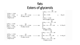 fats
Esters of glycerols
 