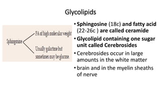 Glycolipids
•Sphingosine (18c) and fatty acid
(22-26c ) are called ceramide
•Glycolipid containing one sugar
unit called Cerebrosides
•Cerebrosides occur in large
amounts in the white matter
•brain and in the myelin sheaths
of nerve
 
