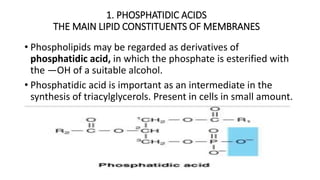 1. PHOSPHATIDIC ACIDS
THE MAIN LIPID CONSTITUENTS OF MEMBRANES
• Phospholipids may be regarded as derivatives of
phosphatidic acid, in which the phosphate is esterified with
the —OH of a suitable alcohol.
• Phosphatidic acid is important as an intermediate in the
synthesis of triacylglycerols. Present in cells in small amount.
 