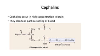 Cephalins
• Cephalins occur in high concentration in brain
• They also take part in clotting of blood
 
