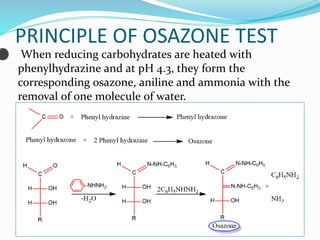 Biochem OSPE -2.pdf with clinical cases and fluid composition | PDF