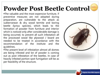 Powder Post Beetle Control
The valuable and the most expensive furniture, if
preventive measures are not adopted during
preparation, are vulnerable to the attack as
subterranean & dry wood termite and boring
beetle (lyctus species), which leads to the
formation of powder from furniture and interior
which is noticed only after considerable damage is
being occurred, to prevent all such infestation all
the processed wood like plywood / board are
needed to be treated in accordance with the
recommendation of the institute and the
guidelines.
The present level of infestation almost all domes
are being infested and lot of powder is coming
out as post infestation of the beetles. In case of
heavily infested portion spot fumigation will be as
per feasibility of the structure.
 
