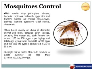 Mosquitoes Control
Flies carries may pathogens (viruses,
bacteria, protozoa, helminth eggs etc) and
transmit disease like cholera conjunctives,
diarrhea typhoid, dysentery, taber culosis,
disease etc.
They breed mainly on dung of domestic
animal and birds, garbage, open sewage,
decaying live matter etc, each female lays
around 120 to 150 eggs - per laying and
total eggs laying varies from 600 to 900 eggs
and the total life cycle is completed in 25 to
35 days.
A single pair of mated files could produce in
single summer no less than
325,923,200,000,000 eggs.
 