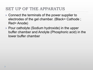 SET UP OF THE APPARATUS
 Connect the terminals of the power supplier to
electrodes of the gel chamber. (Black= Cathode ;
Red= Anode)
 Pour catholyte (Sodium hydroxide) in the upper
buffer chamber and Anolyte (Phosphoric acid) in the
lower buffer chamber
 