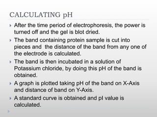 CALCULATING pH
 After the time period of electrophoresis, the power is
turned off and the gel is blot dried.
 The band containing protein sample is cut into
pieces and the distance of the band from any one of
the electrode is calculated.
 The band is then incubated in a solution of
Potassium chloride, by doing this pH of the band is
obtained.
 A graph is plotted taking pH of the band on X-Axis
and distance of band on Y-Axis.
 A standard curve is obtained and pI value is
calculated.
 