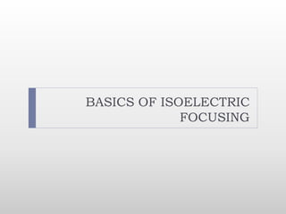 BASICS OF ISOELECTRIC
FOCUSING
 