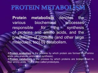 ProteinmetabolismProtein metabolism denotes the various biochemical processes responsible for the synthesis of proteins and amino acids, and the breakdown of proteins (and other large molecules, too) by catabolism.Protein anabolismis the process by which protein are formed from amino acids (aka anabolic amino acid synthesis).
