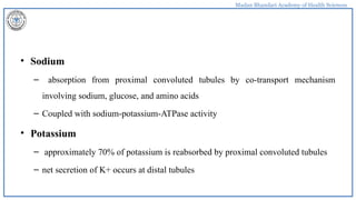 Madan Bhandari Academy of Health Sciences
• Sodium
– absorption from proximal convoluted tubules by co-transport mechanism
involving sodium, glucose, and amino acids
– Coupled with sodium-potassium-ATPase activity
• Potassium
– approximately 70% of potassium is reabsorbed by proximal convoluted tubules
– net secretion of K+ occurs at distal tubules
 