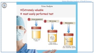 Madan Bhandari Academy of Health Sciences
 