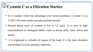 Madan Bhandari Academy of Health Sciences
Cystatin C as a Filtration Marker
• It is a marker which has advantages over serum creatinine. Cystatin C is a
13 kD (120 amino acids) non-glycosylated protein.
• Normal blood level of cystatin is 0.8 to 1.2 mg/L. It is seen in high
concentrations in biological fluids, such as breast milk, tears, saliva and
semen.
• It is expressed in virtually all organs of the body. It is the most abundant
extracellular Cysteine protease inhibitors.
 