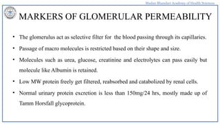 Madan Bhandari Academy of Health Sciences
MARKERS OF GLOMERULAR PERMEABILITY
• The glomerulus act as selective filter for the blood passing through its capillaries.
• Passage of macro molecules is restricted based on their shape and size.
• Molecules such as urea, glucose, creatinine and electrolytes can pass easily but
molecule like Albumin is retained.
• Low MW protein freely get filtered, reabsorbed and catabolized by renal cells.
• Normal urinary protein excretion is less than 150mg/24 hrs, mostly made up of
Tamm Horsfall glycoprotein.
 