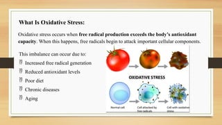 Understanding Oxidative Stress and Antioxidant Defense Mechanisms for ...