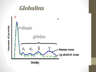 Globulins
 