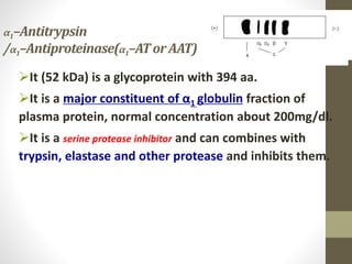 α1–Antitrypsin
/α1–Antiproteinase(α1–ATorAAT)
It (52 kDa) is a glycoprotein with 394 aa.
It is a major constituent of α1 globulin fraction of
plasma protein, normal concentration about 200mg/dl.
It is a serine protease inhibitor and can combines with
trypsin, elastase and other protease and inhibits them.
 