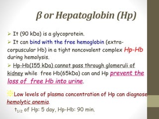 β or Hepatoglobin (Hp)
 It (90 kDa) is a glycoprotein.
 It can bind with the free hemoglobin (extra-
corpuscular Hb) in a tight noncovalent complex Hp-Hb
during hemolysis.
 Hp-Hb(155 kDa) cannot pass through glomeruli of
kidney while free Hb(65kDa) can and Hp prevent the
loss of free Hb into urine.
※Low levels of plasma concentration of Hp can diagnose
hemolytic anemia.
t1/2 of Hp: 5 day, Hp-Hb: 90 min.
 