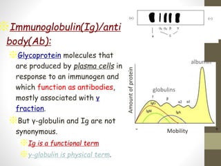 ※Immunoglobulin(Ig)/anti
body(Ab):
※Glycoprotein molecules that
are produced by plasma cells in
response to an immunogen and
which function as antibodies,
mostly associated with γ
fraction.
※But γ-globulin and Ig are not
synonymous.
※Ig is a functional term
※γ-globulin is physical term.
Amountofprotein Mobility
albumin
globulins
+-
 