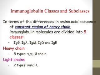 In terms of the differences in amino acid sequence
of constant region of heavy chain,
immunglobulin molecules are divided into 5
classes:
– IgG, IgA, IgM, IgD and IgE
Heavy chain:
– 5 types: γ,α,μ,δ and ε.
Light chains
– 2 types: κand λ.
Immunoglobulin Classes and Subclasses
 