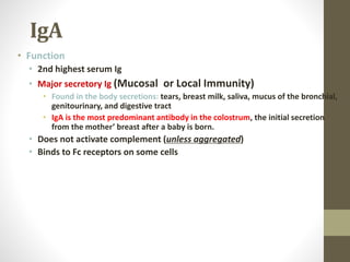 IgA
• Function
• 2nd highest serum Ig
• Major secretory Ig (Mucosal or Local Immunity)
• Found in the body secretions: tears, breast milk, saliva, mucus of the bronchial,
genitourinary, and digestive tract
• IgA is the most predominant antibody in the colostrum, the initial secretion
from the mother’ breast after a baby is born.
• Does not activate complement (unless aggregated)
• Binds to Fc receptors on some cells
 