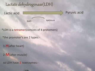 Lactate dehydrogenase(LDH)
Lactic acid Pyruvic acid
NAD NADH+H
*LDH is a tetramer(consists of 4 protomers)
*the promoter's are 2 types:-
1-H(after heart)
2-M(after muscle)
so LDH have 5 isoenzymes:-
 