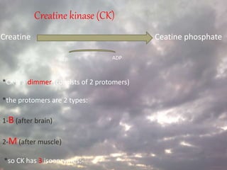 Creatine kinase (CK)
Creatine Ceatine phosphate
ATP ADP
*CK is a dimmer (consists of 2 protomers)
*the protomers are 2 types:
1-B (after brain)
2-M (after muscle)
*so CK has 3 isoenzymes:-
 