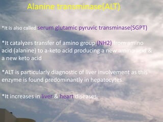 Alanine transminase(ALT)
*It is also called serum glutamic pyruvic transminase(SGPT)
*ALT is particularly diagnostic of liver involvement as this
enzyme is found predominantly in hepatocytes.
*It increases in liver & heart diseases.
*It catalyzes transfer of amino group (NH2) from amino
acid (alanine) to a-keto acid producing a new amino acid &
a new keto acid
 