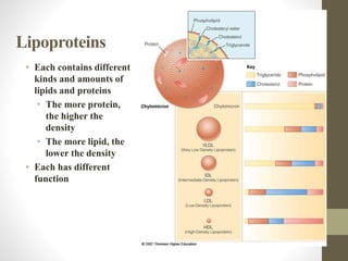 • Each contains different
kinds and amounts of
lipids and proteins
• The more protein,
the higher the
density
• The more lipid, the
lower the density
• Each has different
function
Lipoproteins
 