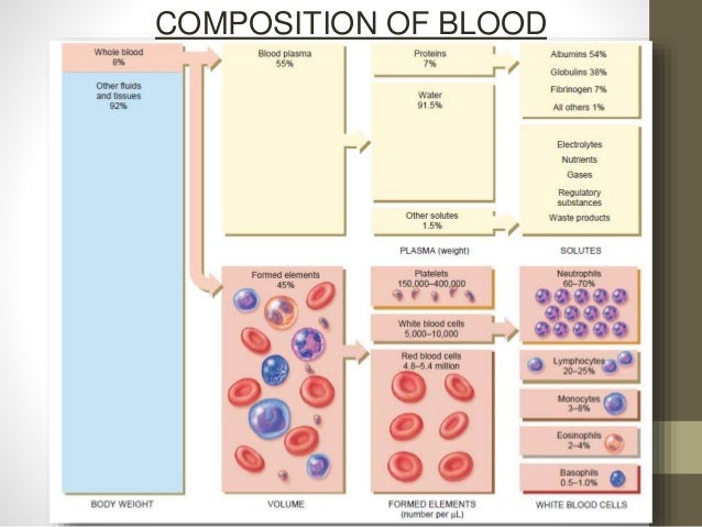 protein in chemical 5 elements plasma blood protein protein in chemical 5 elements plasma blood protein