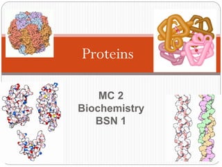 Proteins
2006-2007
MC 2
Biochemistry
BSN 1
 