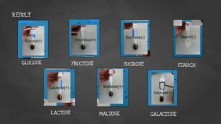 RESULT
GLUCOSE FRUCTOSE SUCROSE STARCH
LACTOSE MALTOSE GALACTOSE
 
