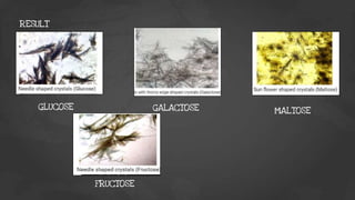RESULT
GLUCOSE
FRUCTOSE
MALTOSE
GALACTOSE
 